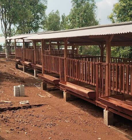 Kandang yang Nyaman dan Higienis